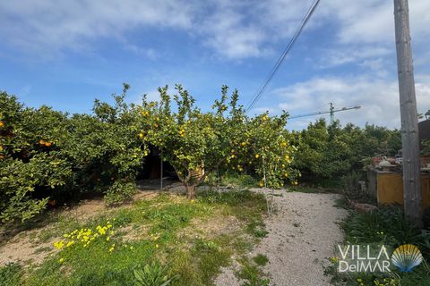 Helårsgrund i Els Poblets, Alicante, Els Poblets - € 299.000 | Ref: P-603 - foto 10